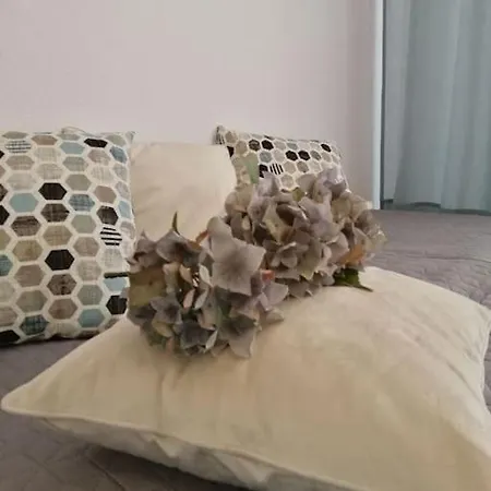 Apartment Von Privat Schone Studio Ganz Nah Zum Torrevieja